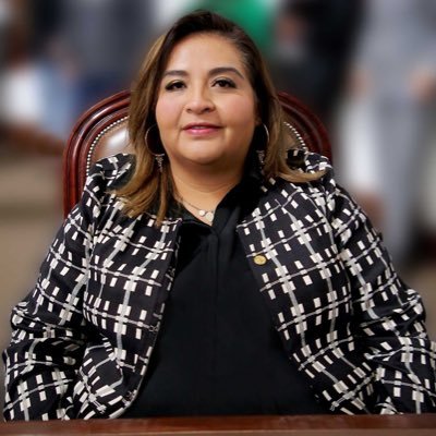 Diputada Local en la CDMX, Coordinadora del observatorio humanista capítulo México en @RedHL_