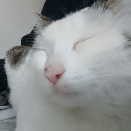 darknesswr3's profile picture. 