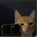 Snerv (@snerv_) Twitter profile photo Snerv (@snerv_) Twitter profile photo