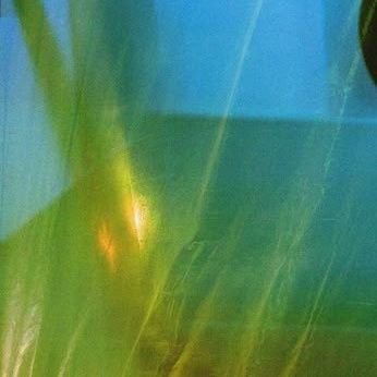 vanel___y's profile picture. la valse sentimentale