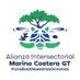 Alianza Intersectorial Marino Costera GT 🦐🦞🦀🐡 (@alianzamc_gt) Twitter profile photo Alianza Intersectorial Marino Costera GT 🦐🦞🦀🐡 (@alianzamc_gt) Twitter profile photo