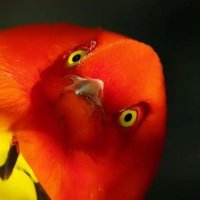 La Piaffe 🐦🚫 (@diedsuddenlyfr) 's Twitter Profile Photo La Piaffe 🐦🚫 (@diedsuddenlyfr) 's Twitter Profile Photo