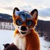 Miles 🔜 AC '25 (@milesthefloof) Twitter profile photo Miles 🔜 AC '25 (@milesthefloof) Twitter profile photo
