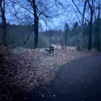 Finto 23 (@23finto) 's Twitter Profile