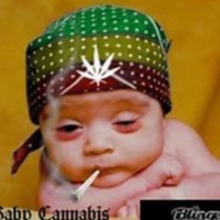 MeThinks (@lilweed) 's Twitter Profile