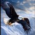 JOTA Morrs (@jotamorrs84547) Twitter profile photo JOTA Morrs (@jotamorrs84547) Twitter profile photo