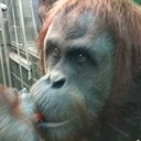 Dave Wray - @mightyfalcon9 - Twitter