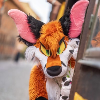 AkiFox Profile