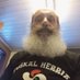 Fidel Fernandez Conde (@fidelconde77588) Twitter profile photo Fidel Fernandez Conde (@fidelconde77588) Twitter profile photo