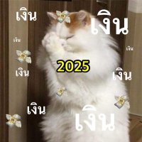 นานะ🦊 (@nanacutiegene) 's Twitter Profile