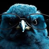 grossosso's profile picture. Farmer. Passionate about qaulity produce