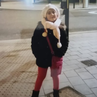 A Psychology researcher focused on staff wellbeing in online schools. Looking for insights to improve virtual education.