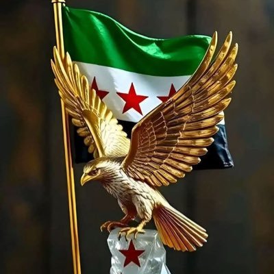 كلنا الأمن العام السوري