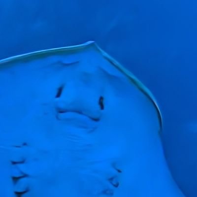 WGajuwe6bs1719's profile picture. 