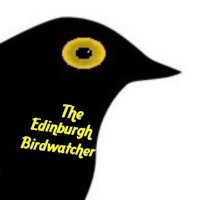 The Edinburgh Birdwatcher (@edinbirdwatcher) 's Twitter Profile Photo The Edinburgh Birdwatcher (@edinbirdwatcher) 's Twitter Profile Photo