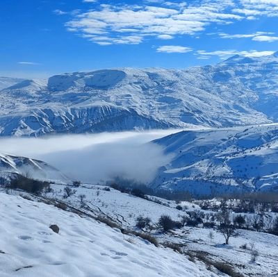 hakan_karahanho's profile picture. Her şey çok güzel olacak, olmalı
