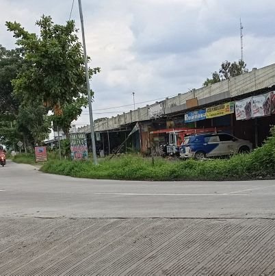 lintanggts1's profile picture. 