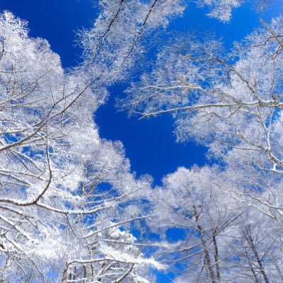 Ken12124123's profile picture. 札幌 男