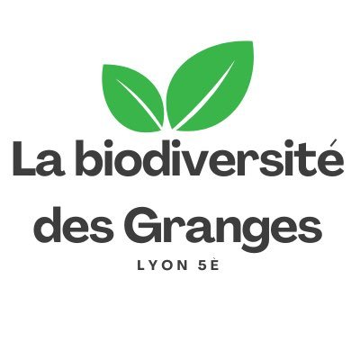 Collectif de riverains préserver l’îlot de fraîcheur 28 rue des Granges | destruction de 3000m2 | Lyon 5 #Lyon #espèces #Lyon5 #collectif #association
