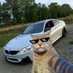Nishant (@nishant26361207) Twitter profile photo Nishant (@nishant26361207) Twitter profile photo