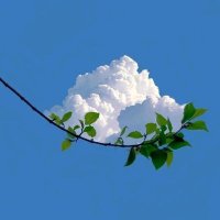 شهد الشهراني (@mmh18606) Twitter profile photo