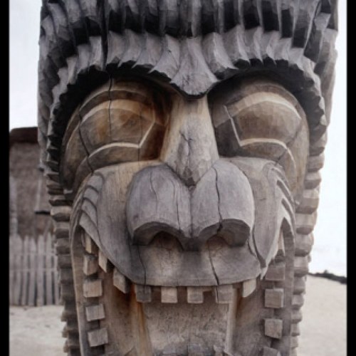 saltytron's profile picture. 