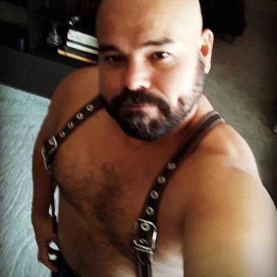 JCsoiR's profile picture. Latin Bi Cub Bear Happy Man !!