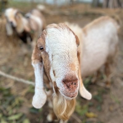 Musa698029's profile picture. 