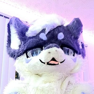 QazzyBoyo's profile picture. :: 25 :: Just a lil guy :: Former Smash 4 Player :: He/Him :: Suit Maker @DuDusweet999 :: Banner photo @VazulWolf ::