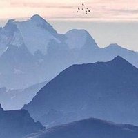 ابـو عاصـم لـديكـور والاصبـاغ🇶🇦 (@basmalhfny7) 's Twitter Profile