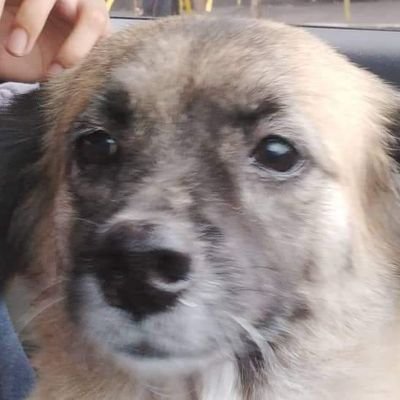 sorrowBorne29's profile picture. Aspiring software engineer in this job market || Bloom