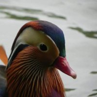 Xanxessa (@xanxessa130406) Twitter profile photo