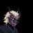 Dazed__up avatar