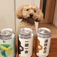 たくや│犬とお家でクラフトビール (@needmorebeeer) 's Twitter Profile