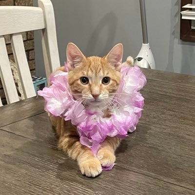 MoisantTrevor's profile picture. if you’re reading this God loves you