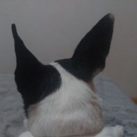 Lucia Guesa (@gusiluzz40) 's Twitter Profile