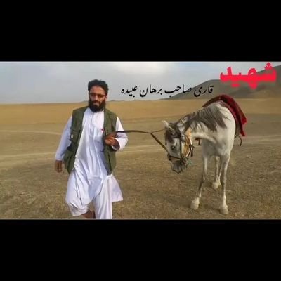 د اُمت مسلیة لپاره نه ستړي کیدونکی مجاهد
(نړۍ وال باغې)