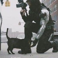 Lynx eated dirt (@chaos__idiot) 's Twitter Profile