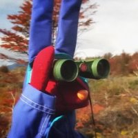 • 𝐼𝑀𝐿🌊 (@nachlra1) 's Twitter Profile