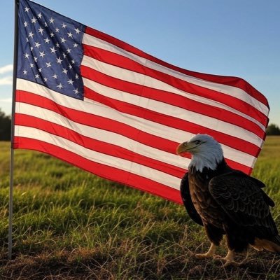 🍊🇺🇸❤️#MAGA, #MAHA #Patriot #LovemyCountry 🇺🇸#ProLife NO DMS!! ~ IFBAP!,✝️ prayers for our Country! No bio, no follow! Trump wins! ‘24 🇺🇸