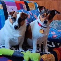 Annie & Karl 🇺🇸 (@brendaasher1977) 's Twitter Profile Photo