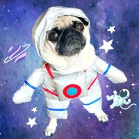 kita🦋🐺 (@ramblehorses) 's Twitter Profile Photo