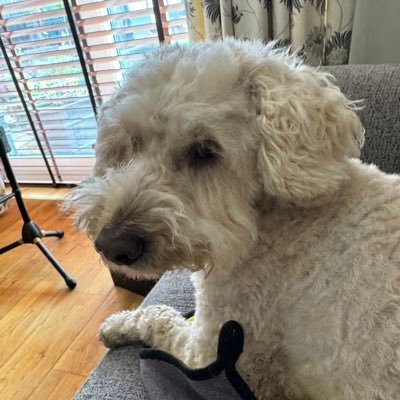 meisear1's profile picture. 