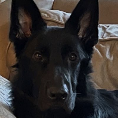 1OldWolf's profile picture. I deal with people issues. I’m a mediator, facilitator, manipulator (for good) and a fixer. Married to the most beautiful woman in my world! Love bourbon