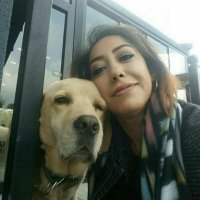 Ülkü Beyatlı (@beyatliulku) 's Twitter Profile Photo Ülkü Beyatlı (@beyatliulku) 's Twitter Profile Photo