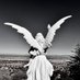 Sannette (@idrinkperoxide) Twitter profile photo Sannette (@idrinkperoxide) Twitter profile photo
