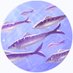 OceanBubbles (@oceanbubbles2o) Twitter profile photo OceanBubbles (@oceanbubbles2o) Twitter profile photo