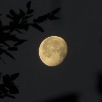 مازن العيسائي (@mazenmokre71293) 's Twitter Profile
