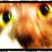 drumstix30's profile image
