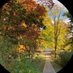 Omar Sanneh (@san40388253) Twitter profile photo